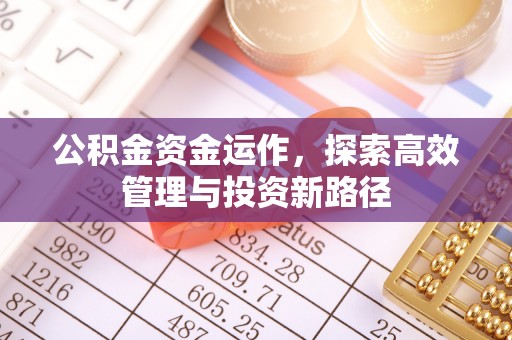沙湾公积金资金运作，探索高效管理与投资新路径