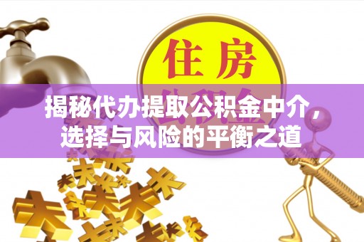 沙湾揭秘代办提取公积金中介，选择与风险的平衡之道