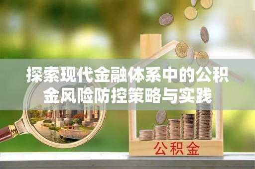 沙湾探索现代金融体系中的公积金风险防控策略与实践
