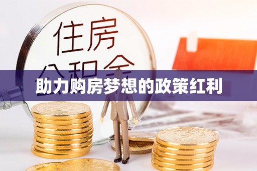 沙湾助力购房梦想的政策红利