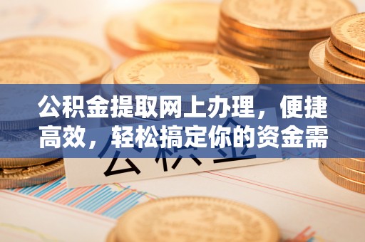 沙湾公积金提取网上办理，便捷高效，轻松搞定你的资金需求