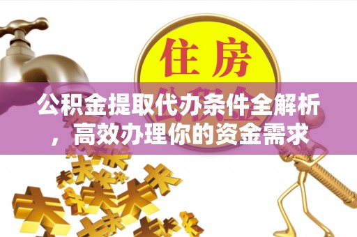 沙湾公积金提取代办条件全解析，高效办理你的资金需求