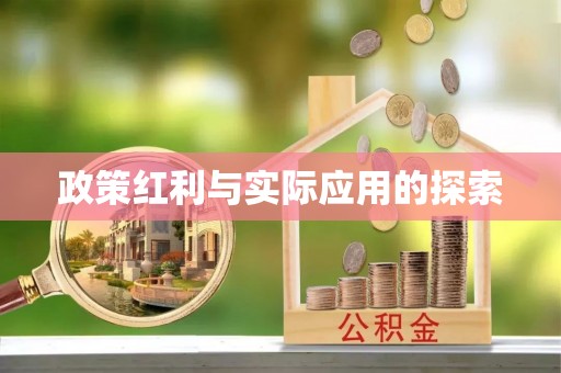 沙湾政策红利与实际应用的探索