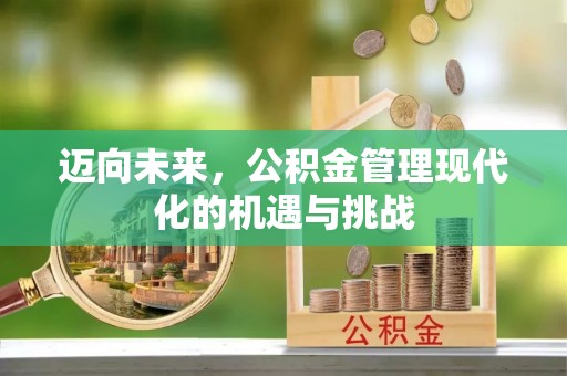 沙湾迈向未来，公积金管理现代化的机遇与挑战