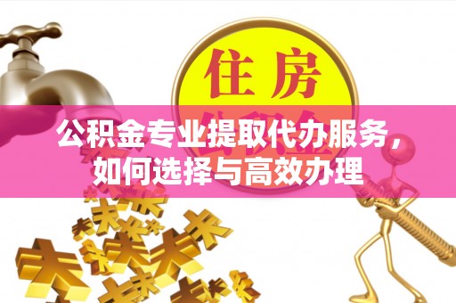 沙湾公积金专业提取代办服务，如何选择与高效办理