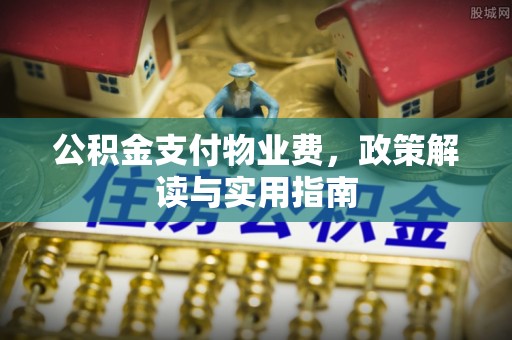沙湾公积金支付物业费，政策解读与实用指南
