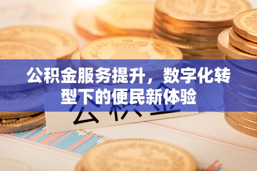 沙湾公积金服务提升，数字化转型下的便民新体验