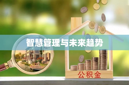 沙湾智慧管理与未来趋势