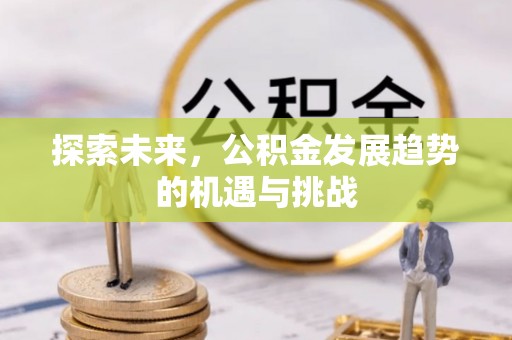沙湾探索未来，公积金发展趋势的机遇与挑战