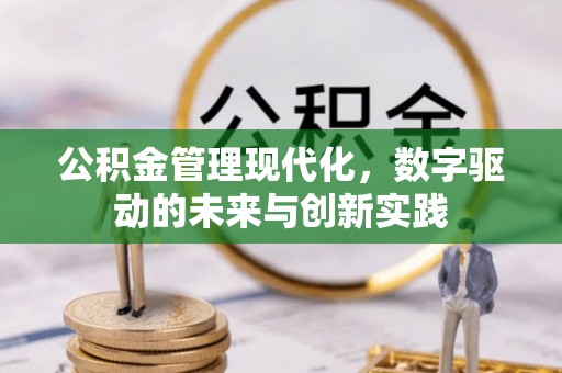 沙湾公积金管理现代化，数字驱动的未来与创新实践