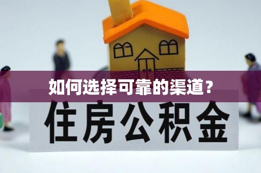 沙湾如何选择可靠的渠道？