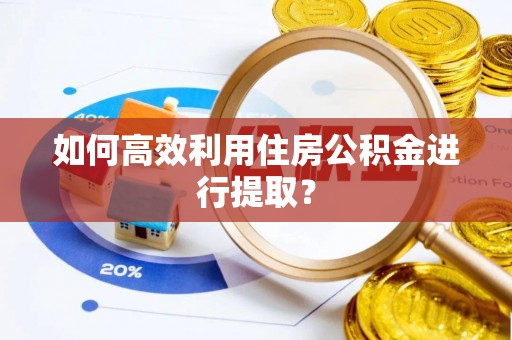 沙湾如何高效利用住房公积金进行提取？