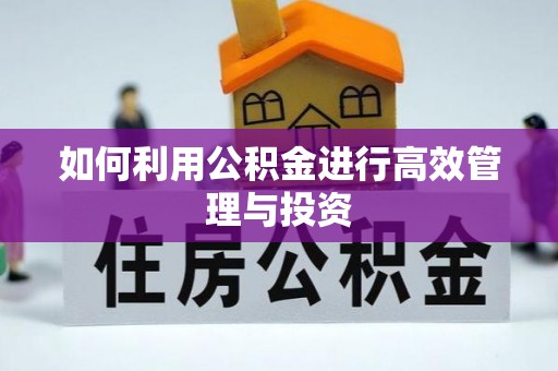 沙湾如何利用公积金进行高效管理与投资