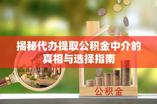 沙湾揭秘代办提取公积金中介的真相与选择指南