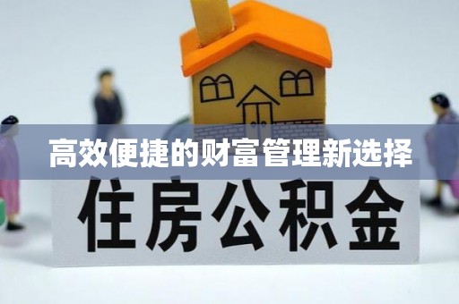 沙湾高效便捷的财富管理新选择