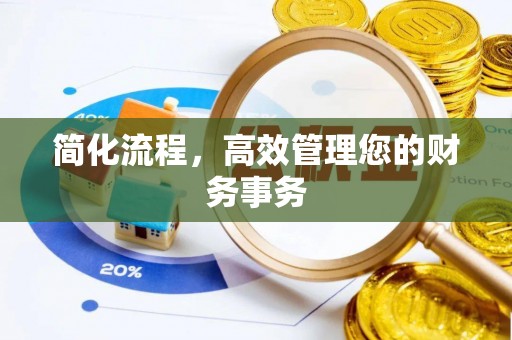 沙湾简化流程，高效管理您的财务事务