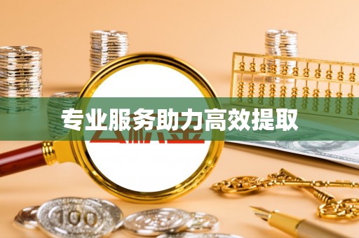 沙湾专业服务助力高效提取
