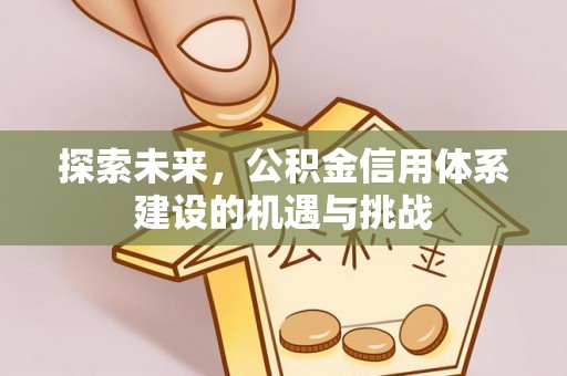 沙湾探索未来，公积金信用体系建设的机遇与挑战