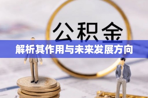 沙湾解析其作用与未来发展方向