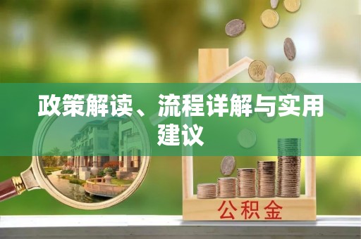 沙湾政策解读、流程详解与实用建议