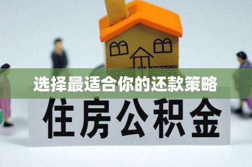 沙湾选择最适合你的还款策略