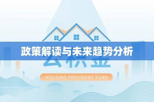 沙湾政策解读与未来趋势分析