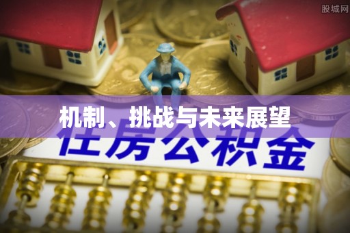 沙湾机制、挑战与未来展望