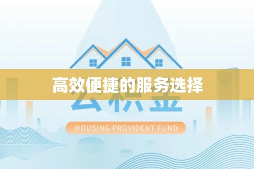 沙湾高效便捷的服务选择