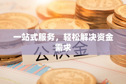 沙湾一站式服务，轻松解决资金需求