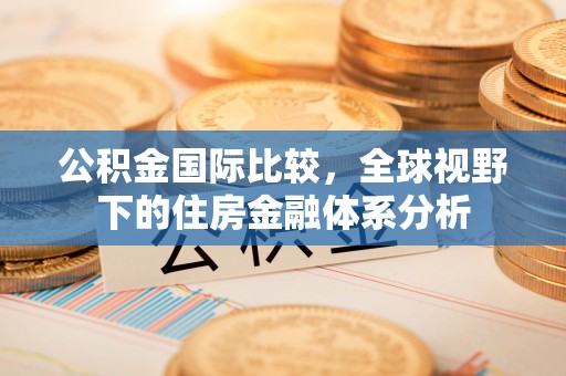 沙湾公积金国际比较，全球视野下的住房金融体系分析